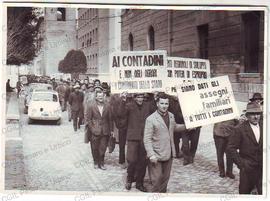 Sfilata corteo - 1964