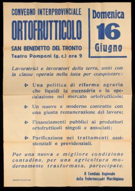 &quot;Convegno interprovinciale ortofrutticolo&quot; - [1963]