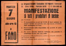 &quot;Manifestazione di tutti i produttori di bietole&quot; - [1966]