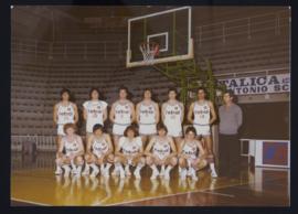 Delfino. Fotografia della prima squadra