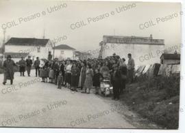Manifestazione contadina - [195-?]